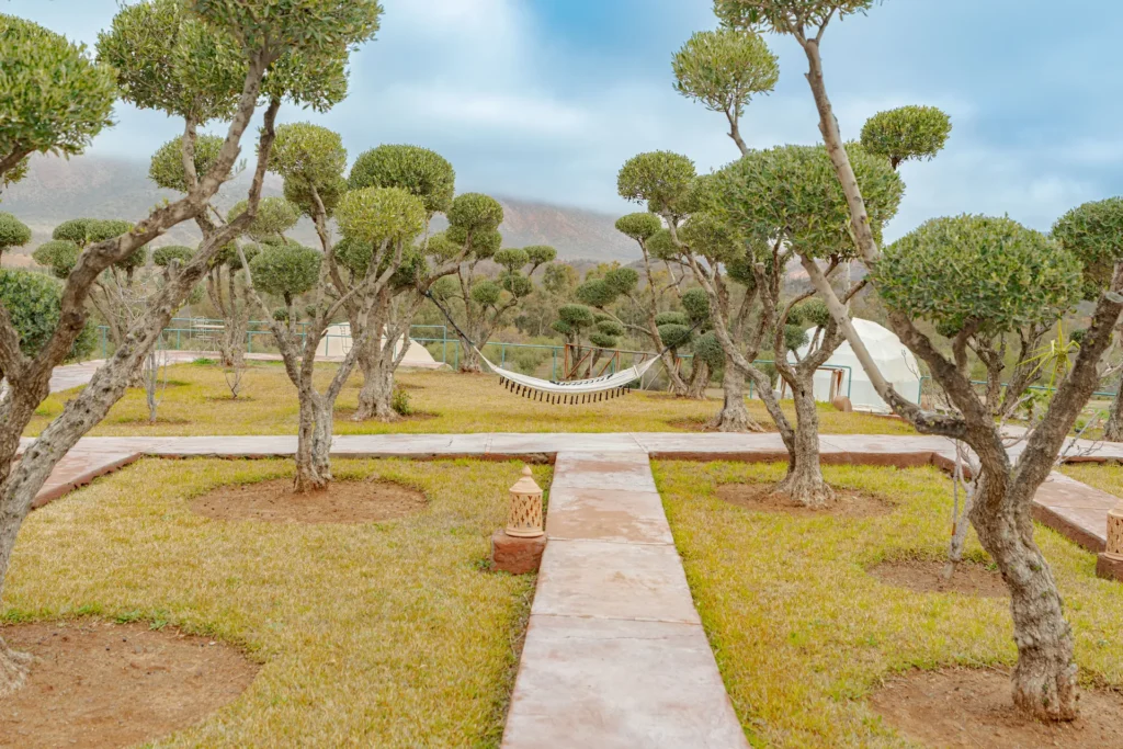 Ksar Shama — Suite Junior, vue 5